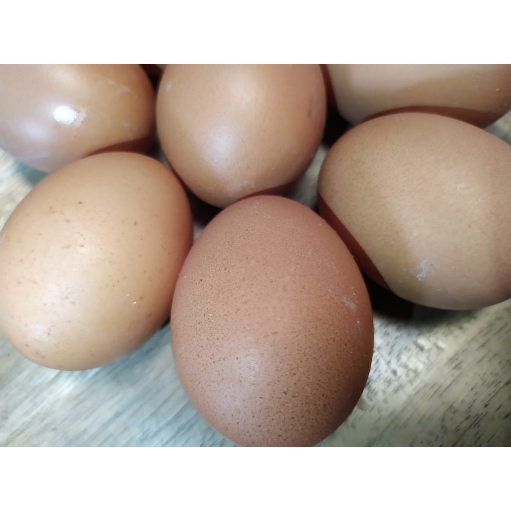 

Telur Ayam per 1/2 kg