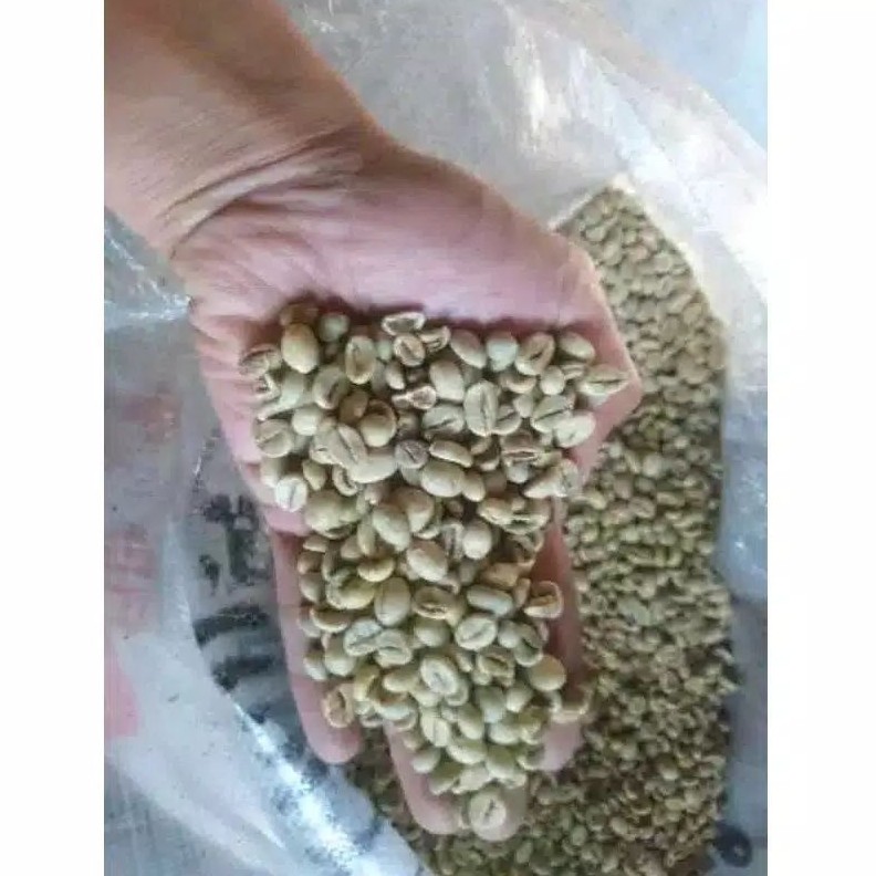 

Biji Kopi Robusta Super @1kg