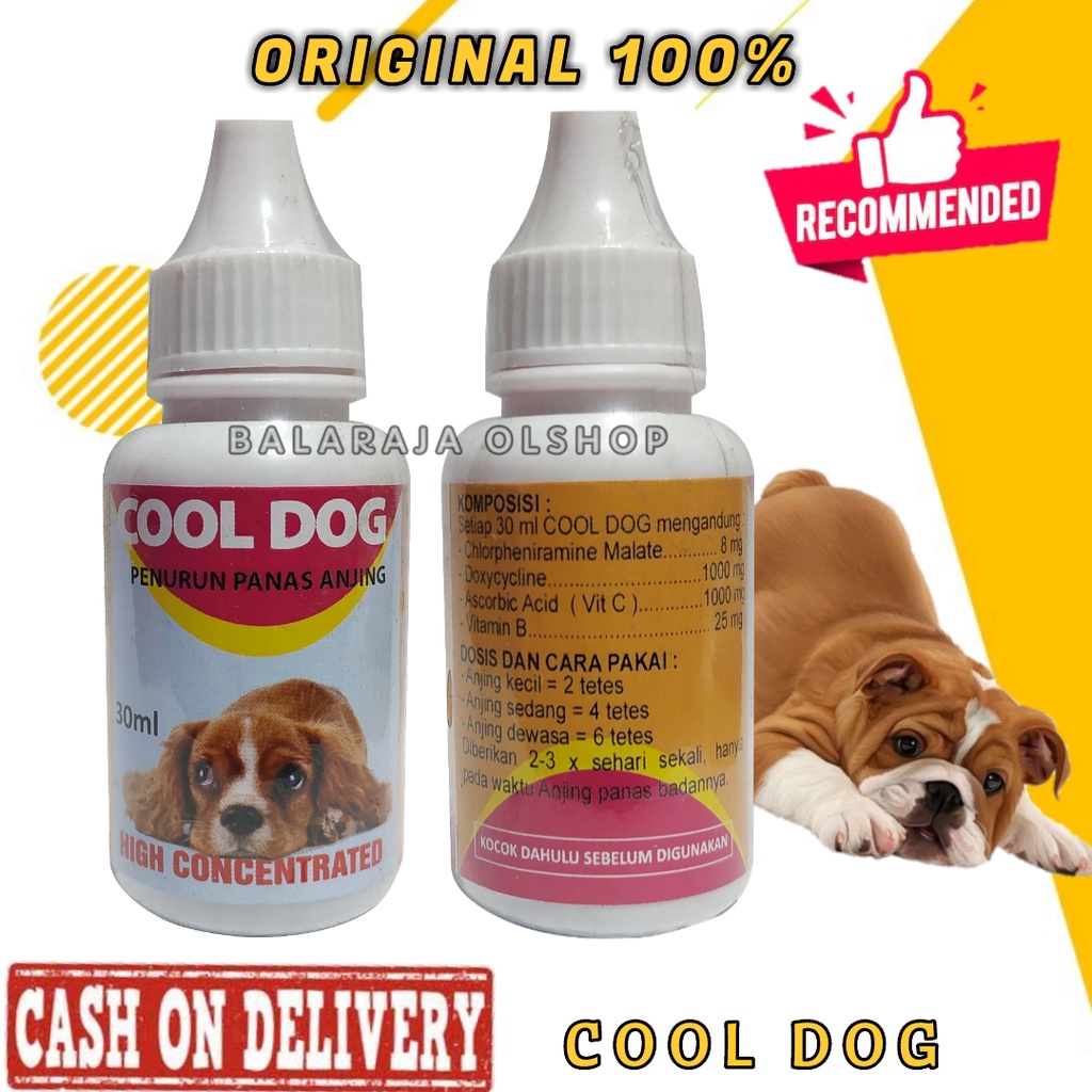 Cool Dog High Contcentrated Obat Penurun Panas Demam Anjing