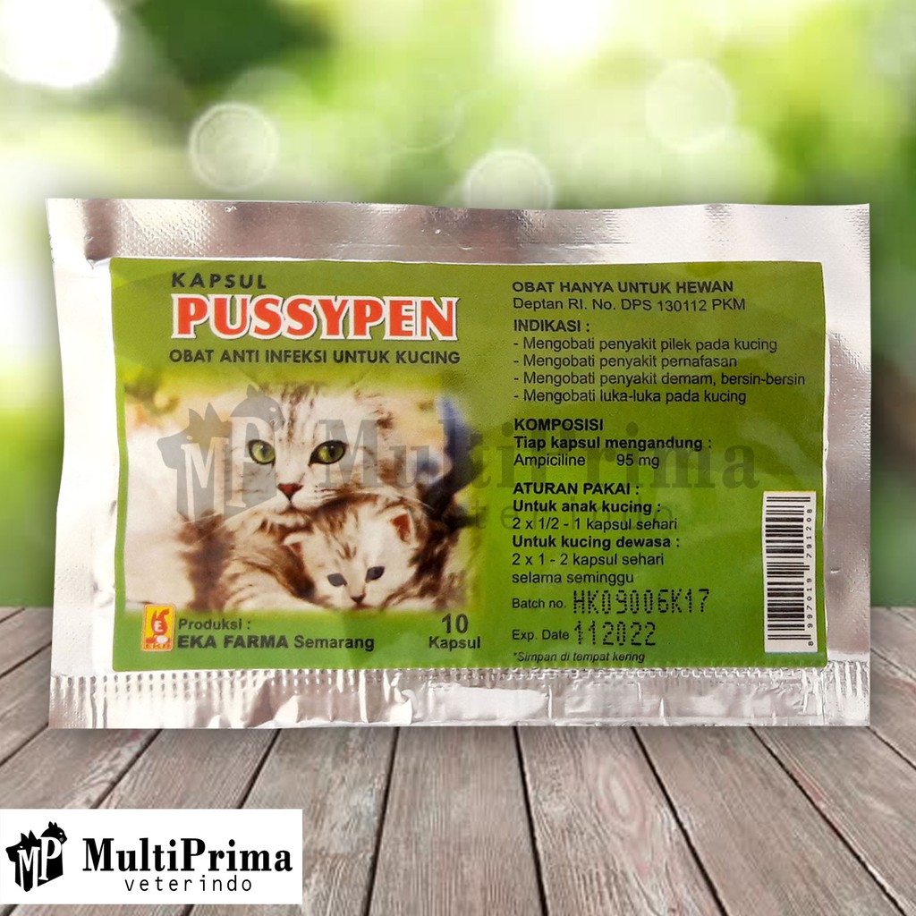 Obat Infeksi Kucing PUSSYPEN 10 Kapsul EKA FARMA