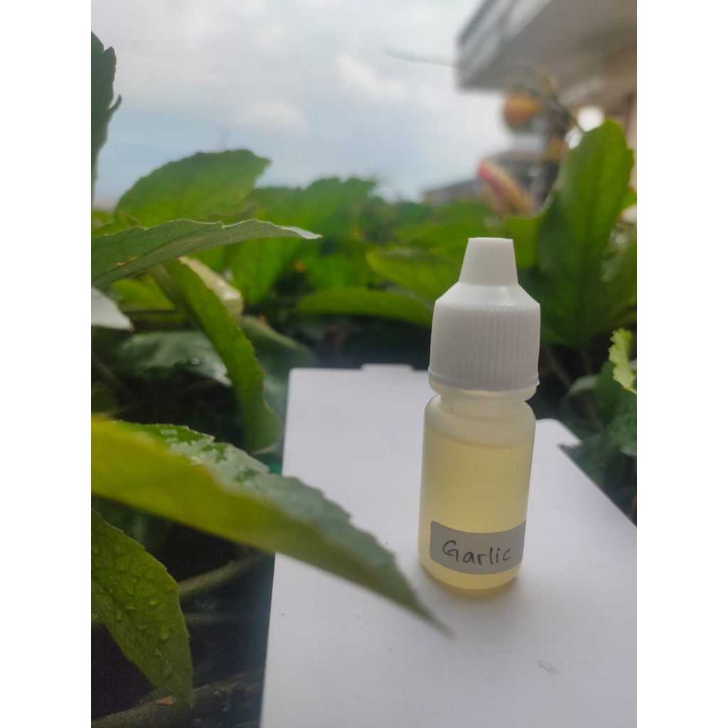 BIANG ESSEN MURNI GARLIC 5ML