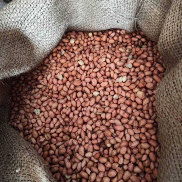 

Kacang Tanah 500gr