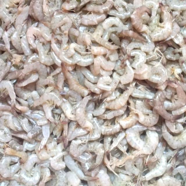 

UDANG GILING FRESH