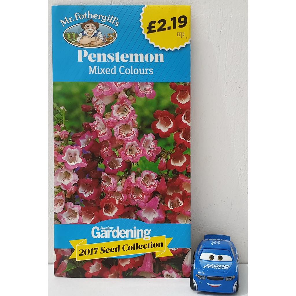Benih Bunga Mr Fothergills Penstemon Mixed Colours Pack Original UK