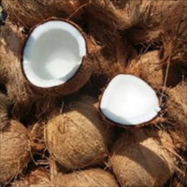 

Buah Kelapa tua 1 butir utuh, besar untuk santan, bumbu masak, ter murah