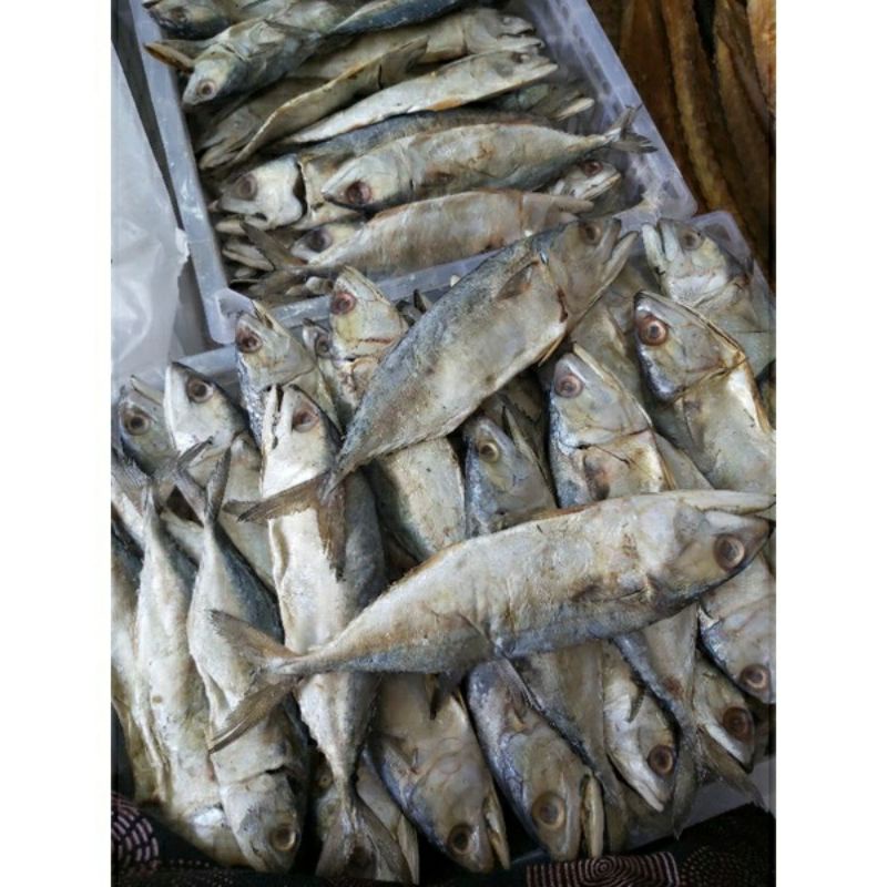 

peda Asin montok putih bersih 500gr