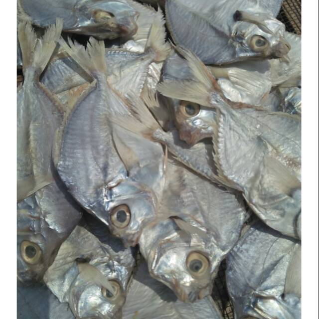 Ikan asin petek besar 500gr
