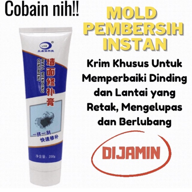 Mold Pembersih Instant