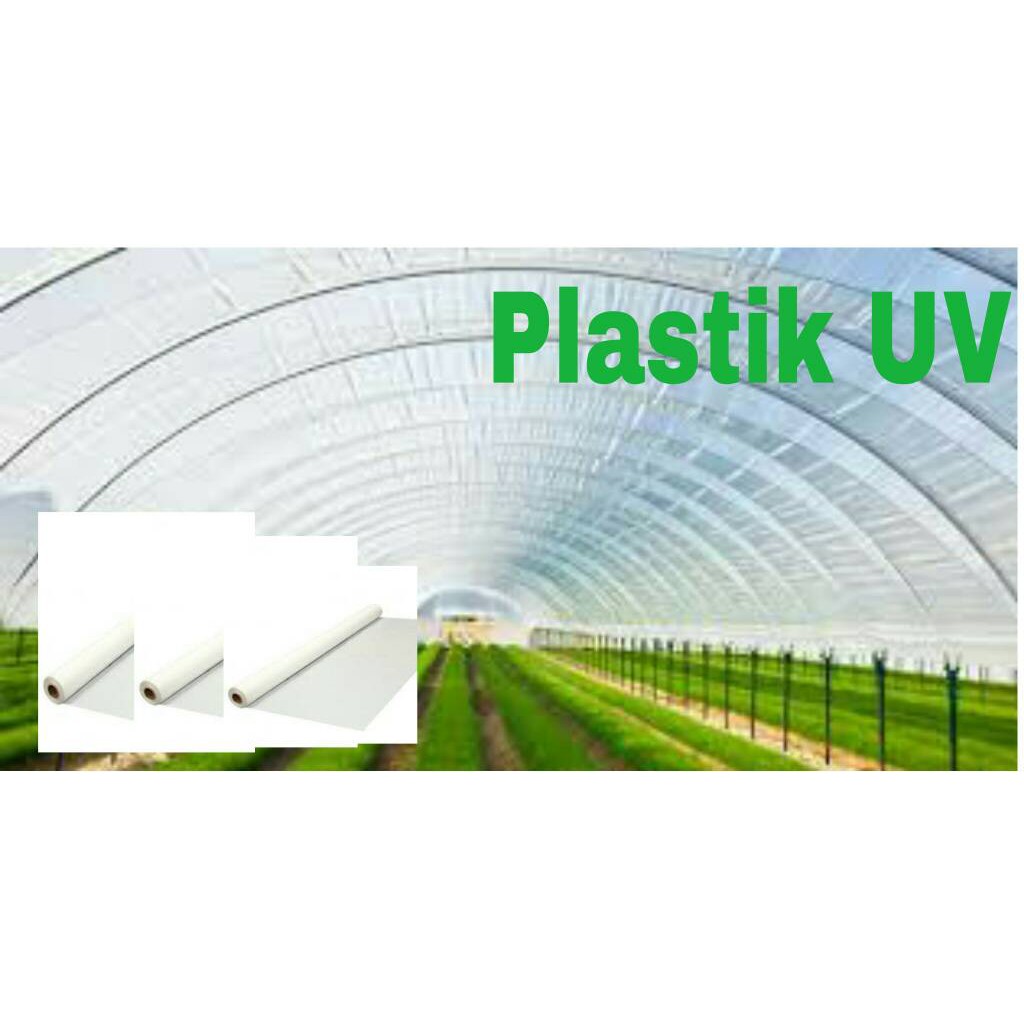 Plastik UV | Untuk Atap Green House 10 meter