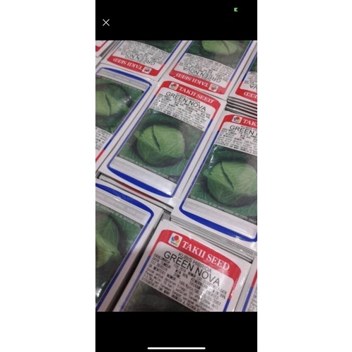 Benih Kubis Green Nova 20ml