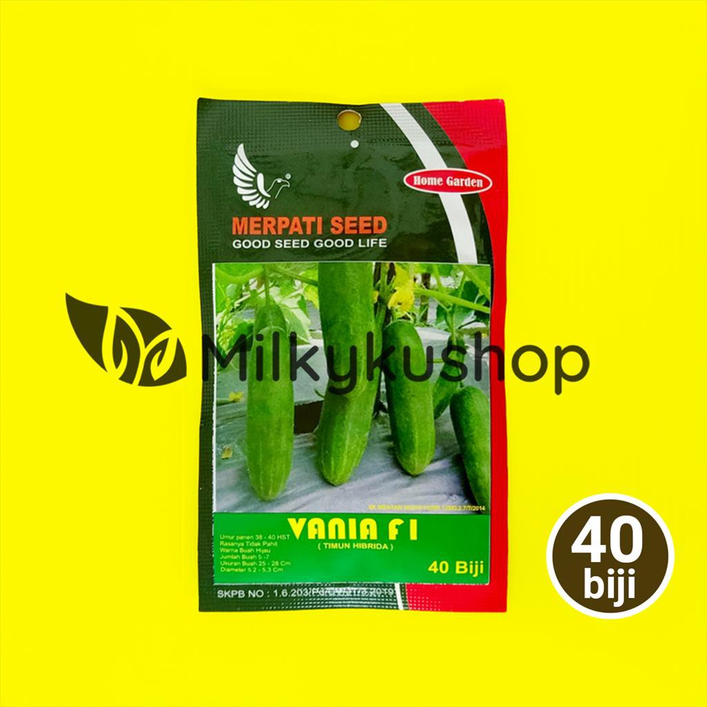 BENIH MERPATI SEED VANIA F1 TIMUN 40 BIJI SACHET KEMASAN PABRIK