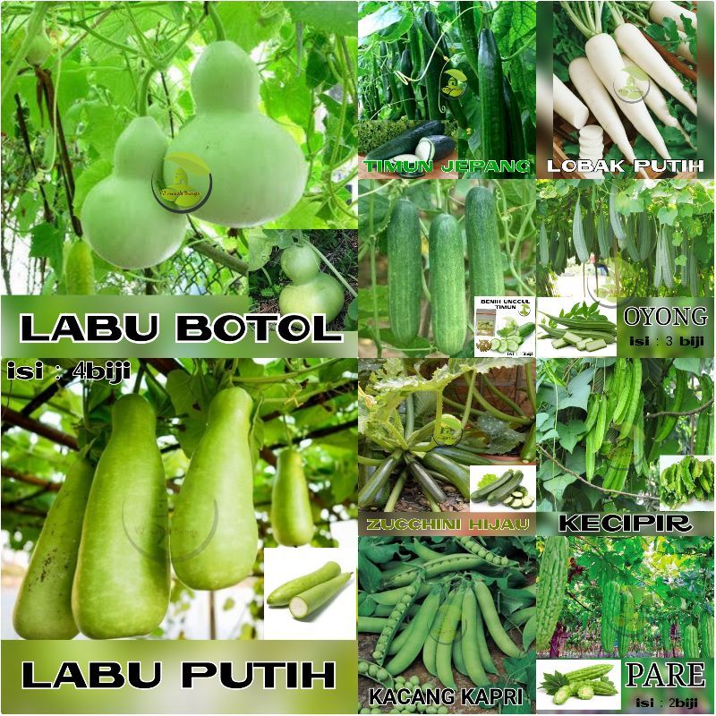 PAKET USAHA Benih Bibit Sayuran Bibit Sayur Buah Bunga