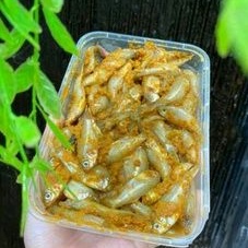 

IKAN WADER MARINASI BUMBU KUNING 500 GRAM SIAP GORENG