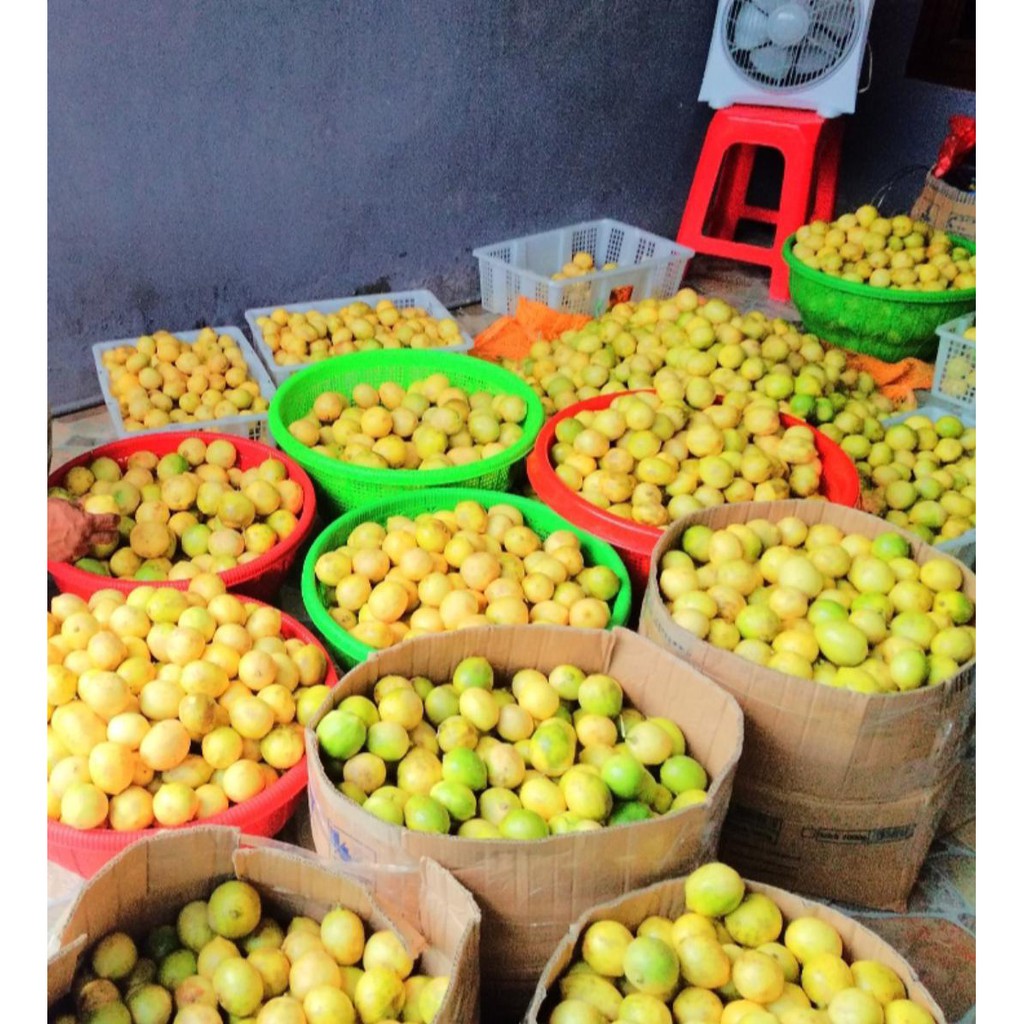 

Lemon 1 kg