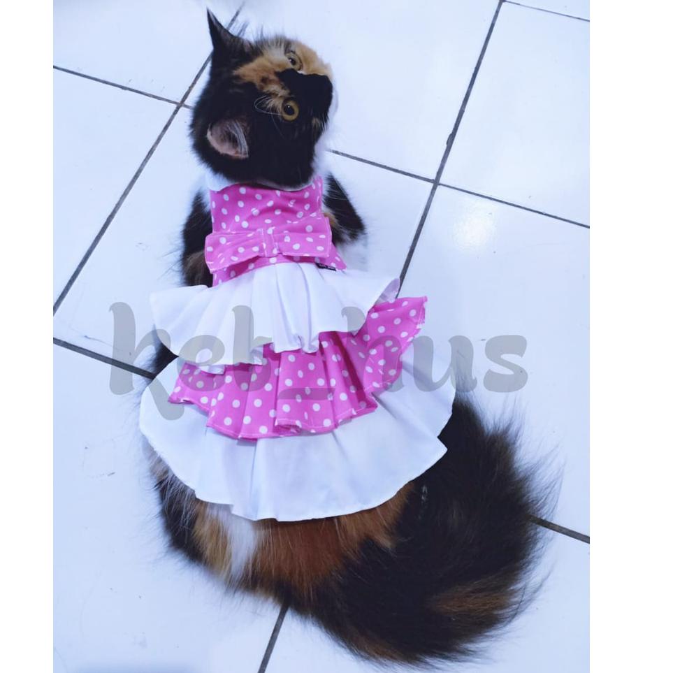 zgmu Baju Kucing Dan Anjing Betina Model Dress Gaun Kecil Mini Pom Angora Persia Polkadot Pink pdwk94