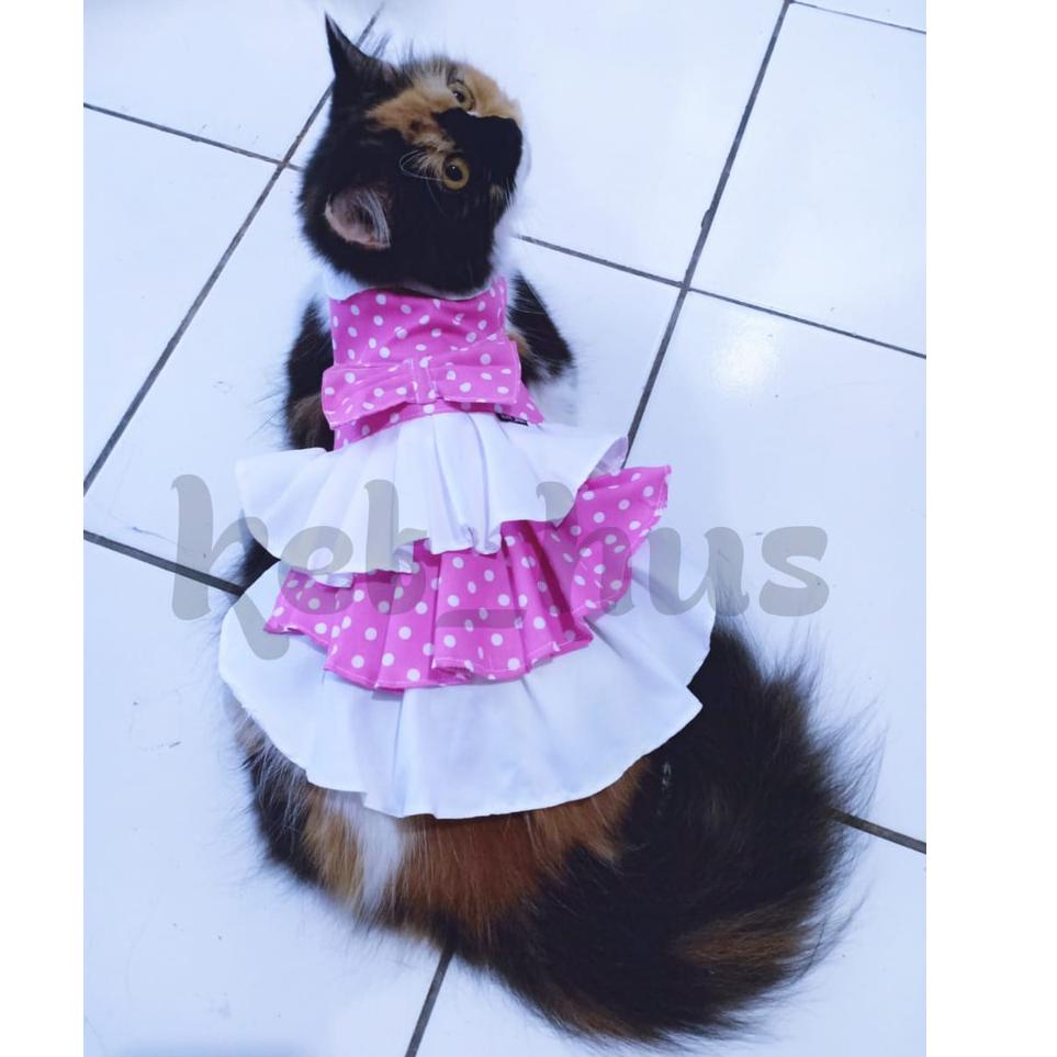 zgmu Baju Kucing Dan Anjing Betina Model Dress Gaun Kecil Mini Pom Angora Persia Polkadot Pink pdwk9