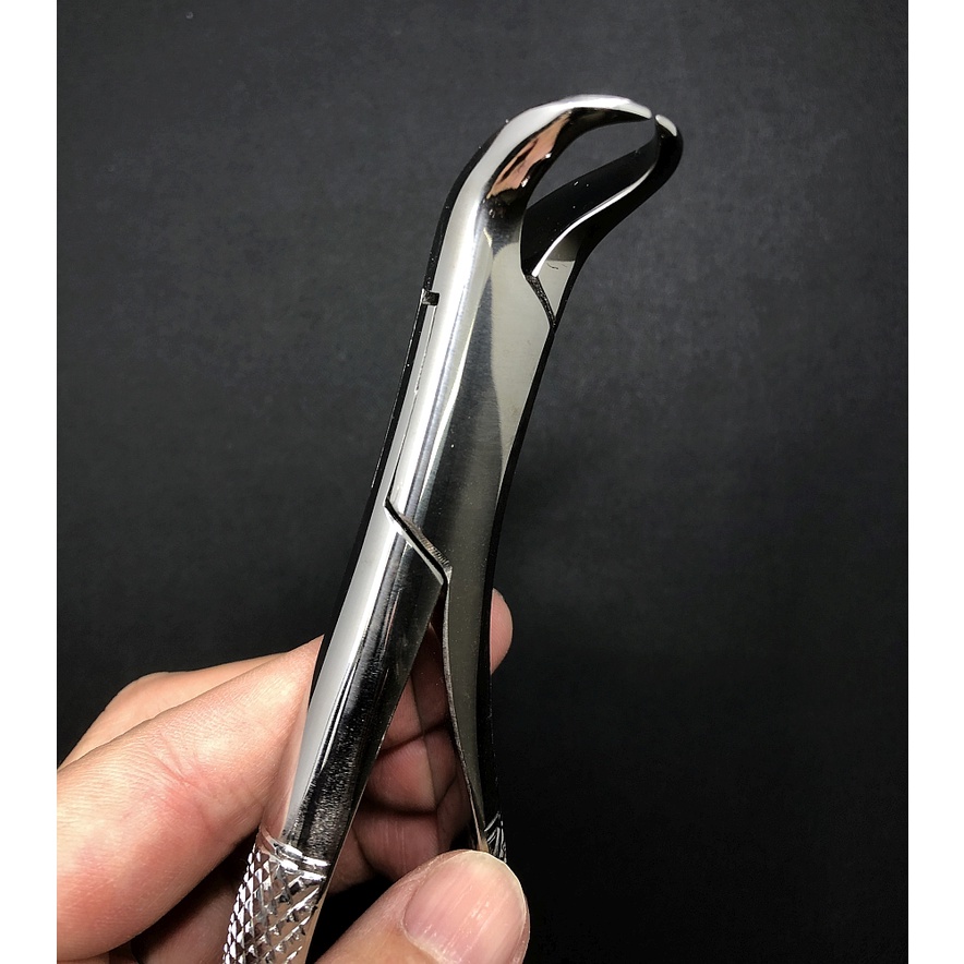 TANG CABUT GIGI GERAHAM BAWAH  COW HORN / FORCEPS AMERICAN PATTERN FIG.16 (COW HORN BEAK)