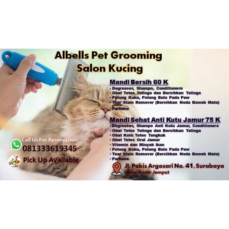 Grooming Kucing Surabaya Shopee Indonesia