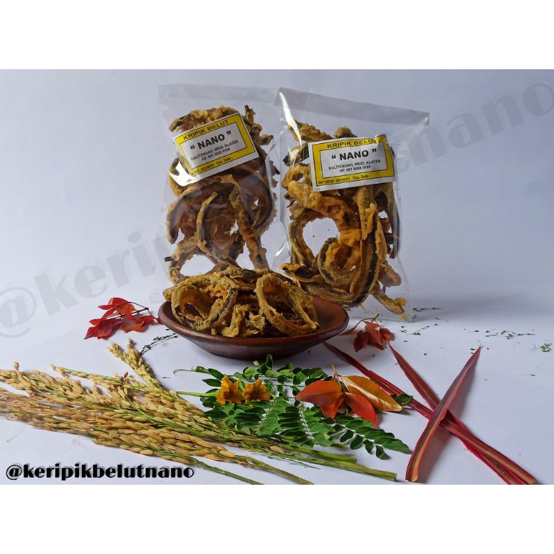 

Keripik Belut Nano (berat 100gr)