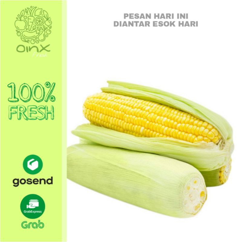 

Jagung Manis per pcs