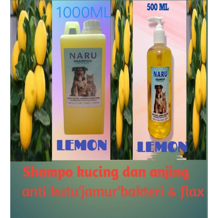 SHAMPO KUCING/ANJING ANTI KUTU &amp; RONTOK NETTO 1 LITER - 500 ML