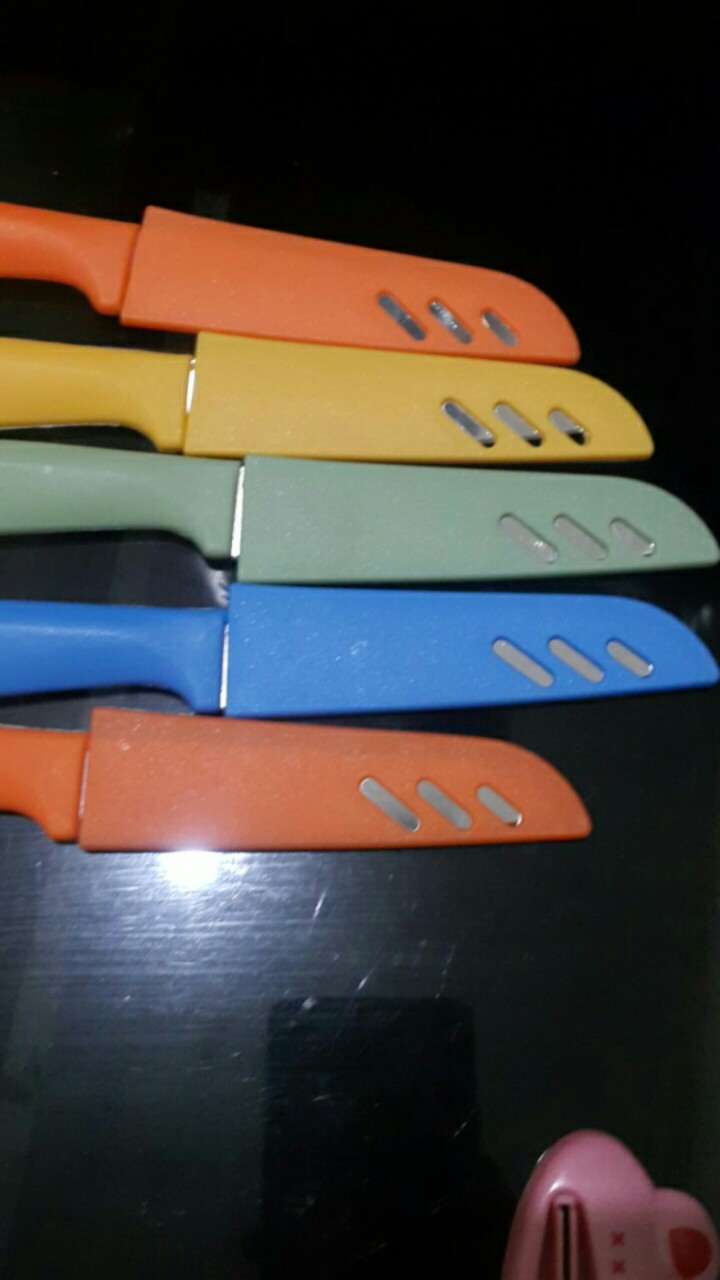 Pisau Dapur Pengupas Pemotong Buah Sayur Stainless Steel