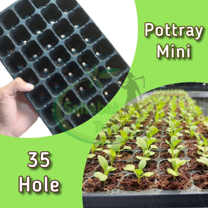 Pot tray mini_Tray semai_35 Hole