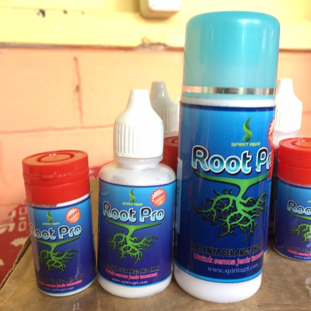 ROOT PRO (Rajanya Perangsang Akar)