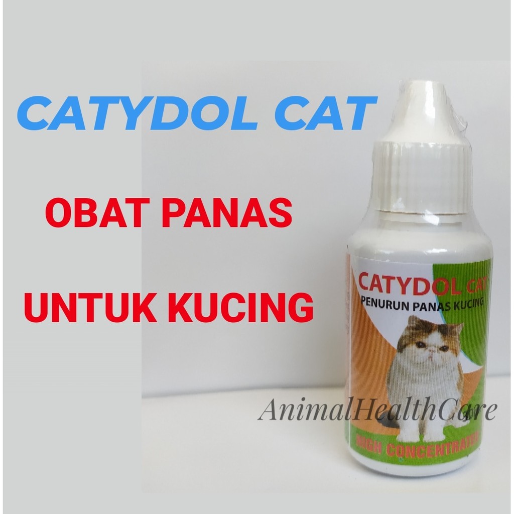 OBAT PENURUN PANAS KUCING - OBAT DEMAM KUCING - CATYDOL 30 ML