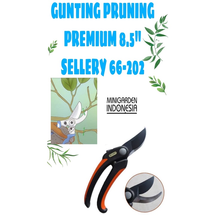 GUNTING PRUNING PREMIUM 8.5 INCH SELLERY 66 - 202 gunting stek bunga ranting gunting dahan