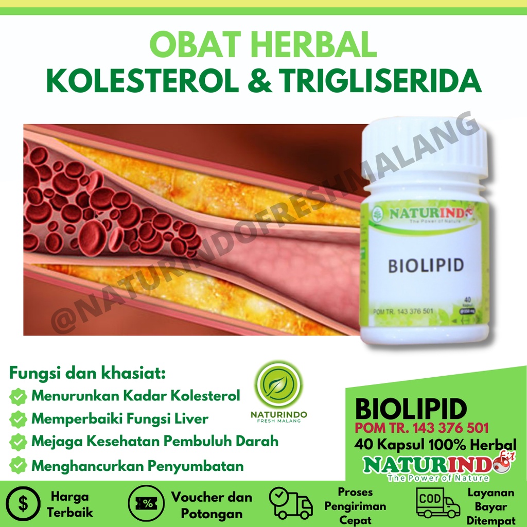 Jual Obat Kolesterol Ampuh Obat Penurun Kolesterol Obat Lemak Darah