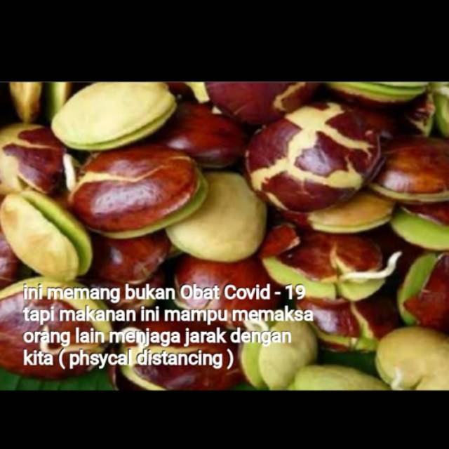sulimah_zul