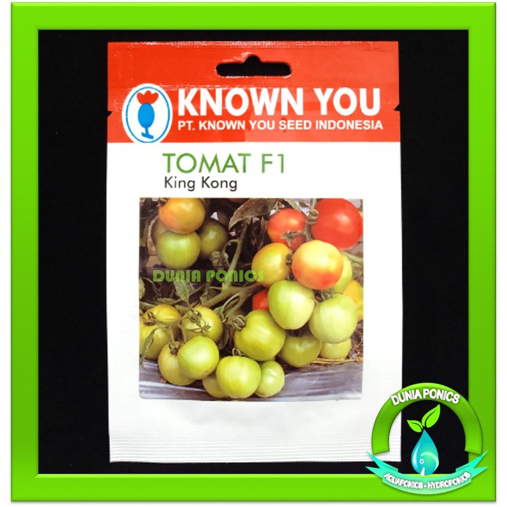 Benih Bibit TOMAT F1 KING KONG Known You Seed 65 Butir Benih See