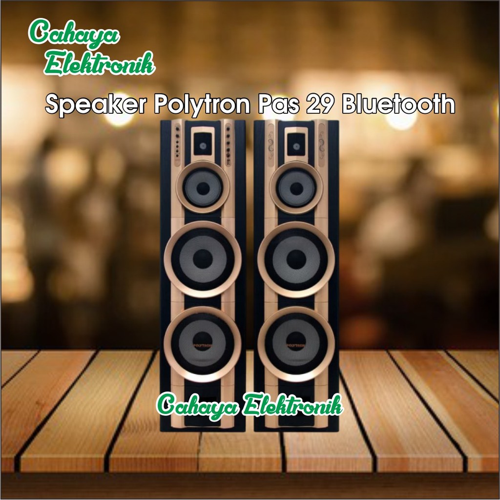SPEAKER AKTIF POLYTRON PAS 8E20 | PAS 8EF28 ORIGINAL