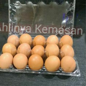 11.11 Promo >> Mika Telur Kancing Pengunci / Egg Tray/ Tray Telur isi 15 butir isi 10 pcs.