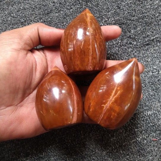 buah kokka polos