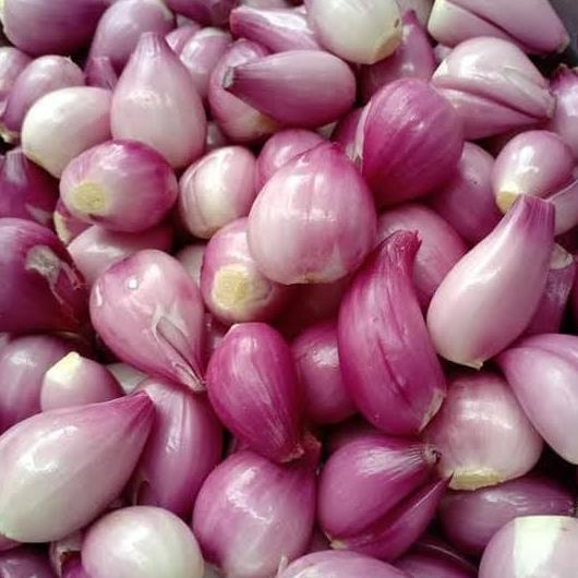 

[[COD]] Bawang Merah Kecil Kupas 500 gr SALE Kode 183