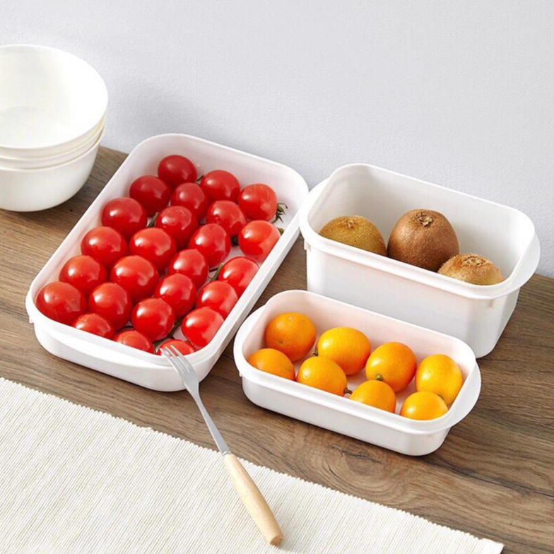 Food Container Plastic