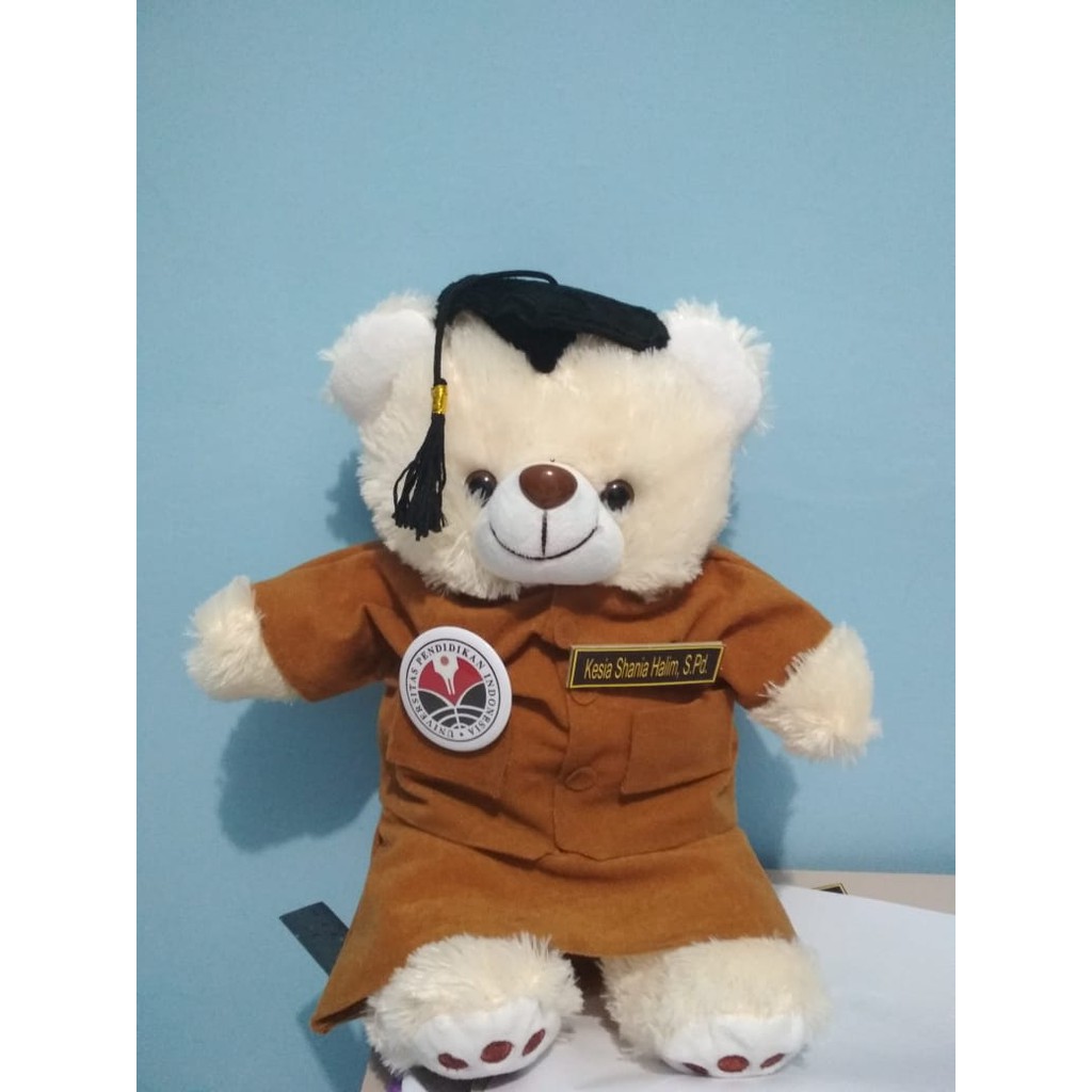 Boneka Profesi Wisuda Kado Souvenir Hadiah Guru Pengajar Pendirik PNS murah teddy bear medium cream