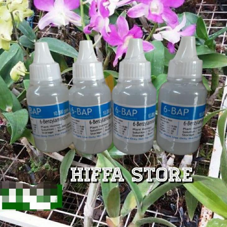 Suda Diiskon Hormon Anggrek Penumbuh Tunas Keiki 6-BAP Benzyl Amino Purin Murah Irit Pemakaian Bulan