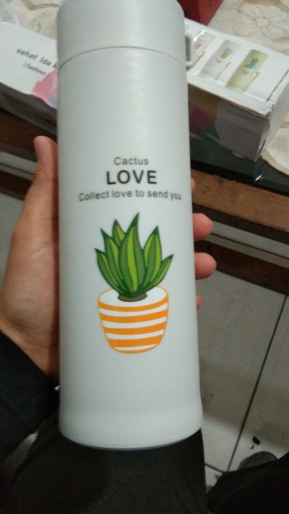 Botol Minum Kaktus Botol Minum Kaca