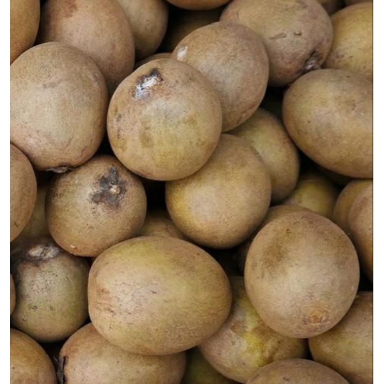 

Buah Buahan Sawo Segar dan fresh Semarang