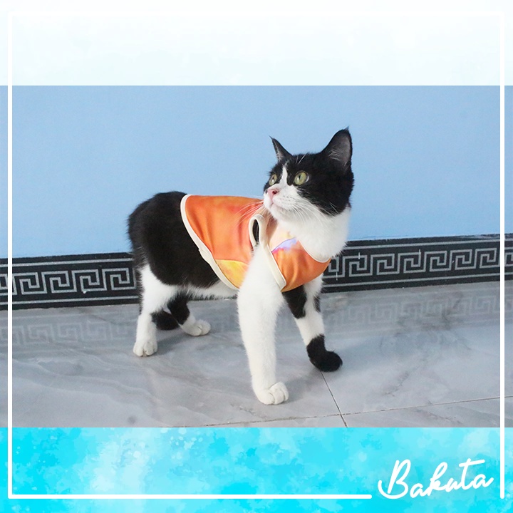 Kaos Water splash motif terbaru untuk kucing dan anjing / baju dan aksesoris murah size S M L XL