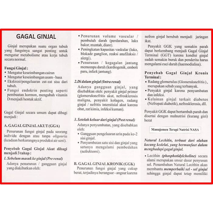 Download 64 Gambar Ginjal Secara Umum Keren Gratis