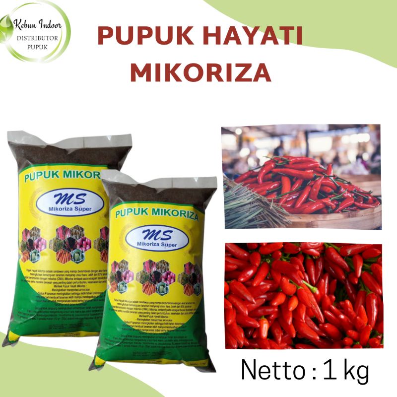 Mikoriza Untuk Cabe, Pupuk Hayati Mikoriza Untuk Cabe