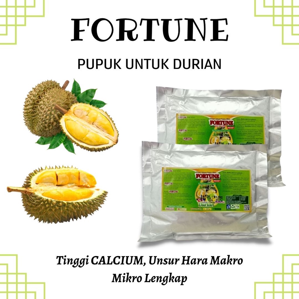 Pupuk Booster Durian Cepat Berbuah, Pupuk Fortune Pelebat Buah