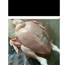 

ayam potong 1 ekor