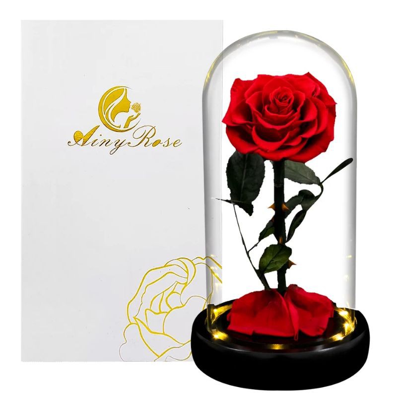 bunga preserved rose beauty and the beast with led