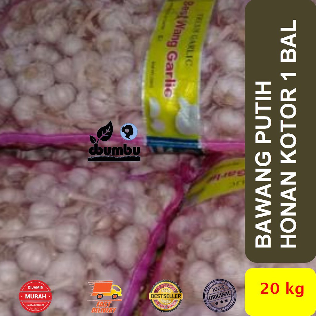 

Bawang Putih Honan Kotor Segar kemasan bal 20 kg