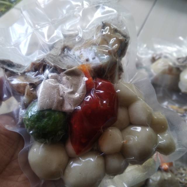 

bacil tulang